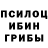 Псилоцибиновые грибы Cubensis Vaulya