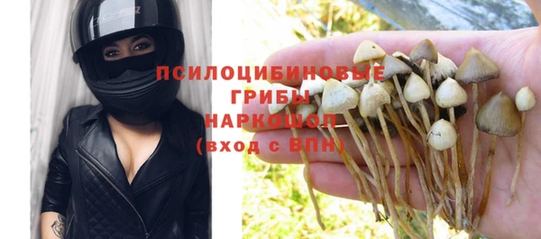 МДПВ Алексеевка
