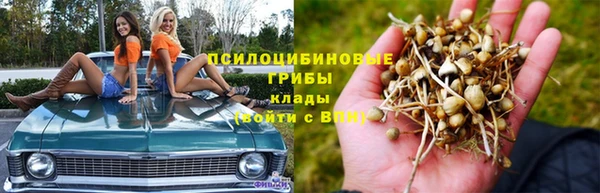 мескалин Арсеньев
