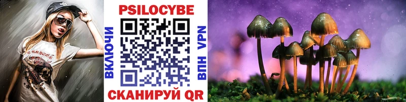 Купить закладки  Жуковка  Галлюциногенные грибы Psilocybe 